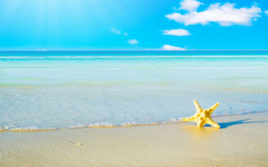 Beach Wallpaper