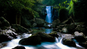 HD 1080p Wallpaper
