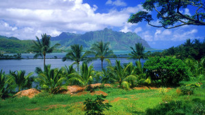 Nature HD 1080p 03 Wallpaper