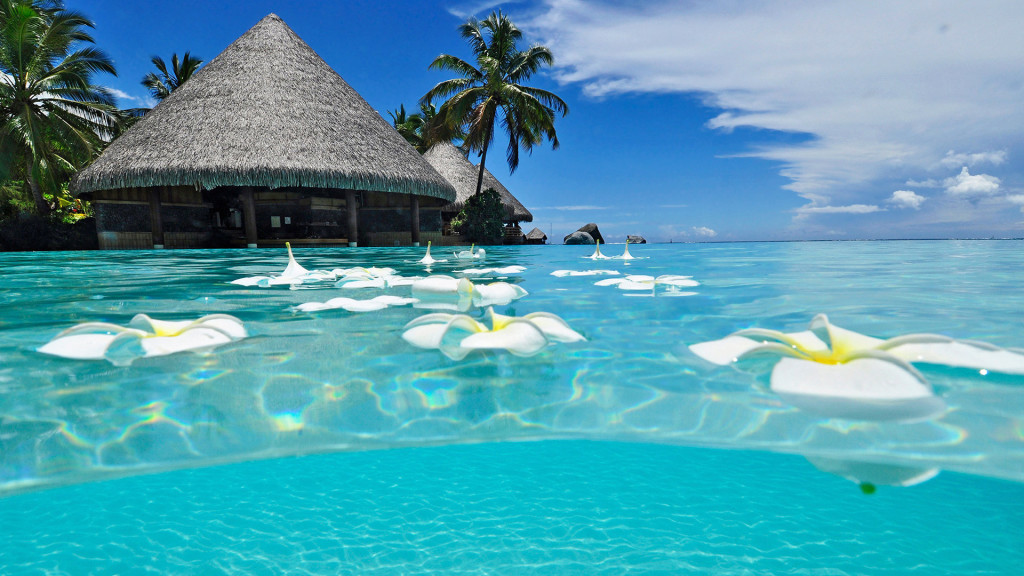 Paradise Beach Summer 01 Wallpaper