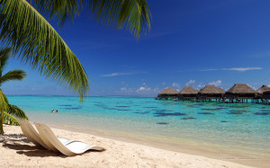 Paradise Beach Summer Wallpaper