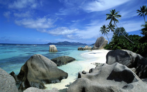 Stone of Summer Beach