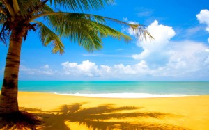 Summer Beach HD Wallpaper