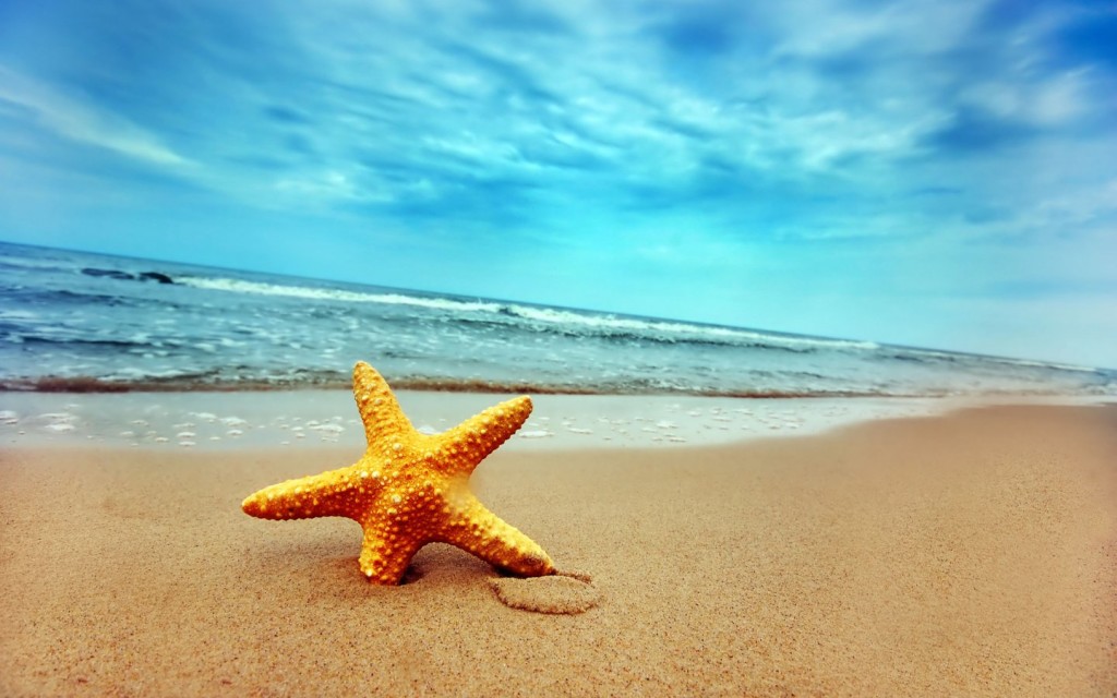 Summer-Beach-Wallpaper