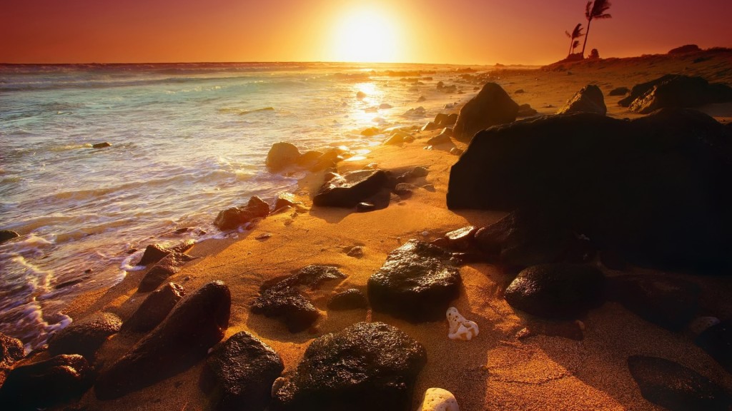 Summer Sunset Wallpaper