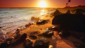 Summer Sunset Wallpaper