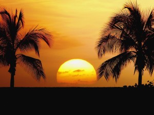 Sunset Beach Wallpaper