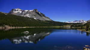 Full HD Nature 1080p Wallpaper