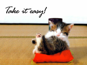 Funny Kitten 01 Wallpaper