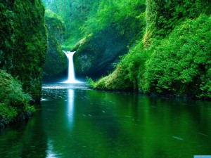 Green Nature 1080p Wallpapers