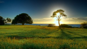 HD Nature 1080p wallpapers