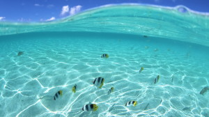 HD Wallpaper 1080p Free