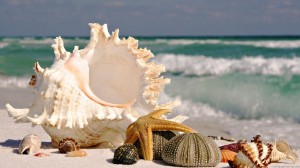 Nature HD 1080p Wallpapers