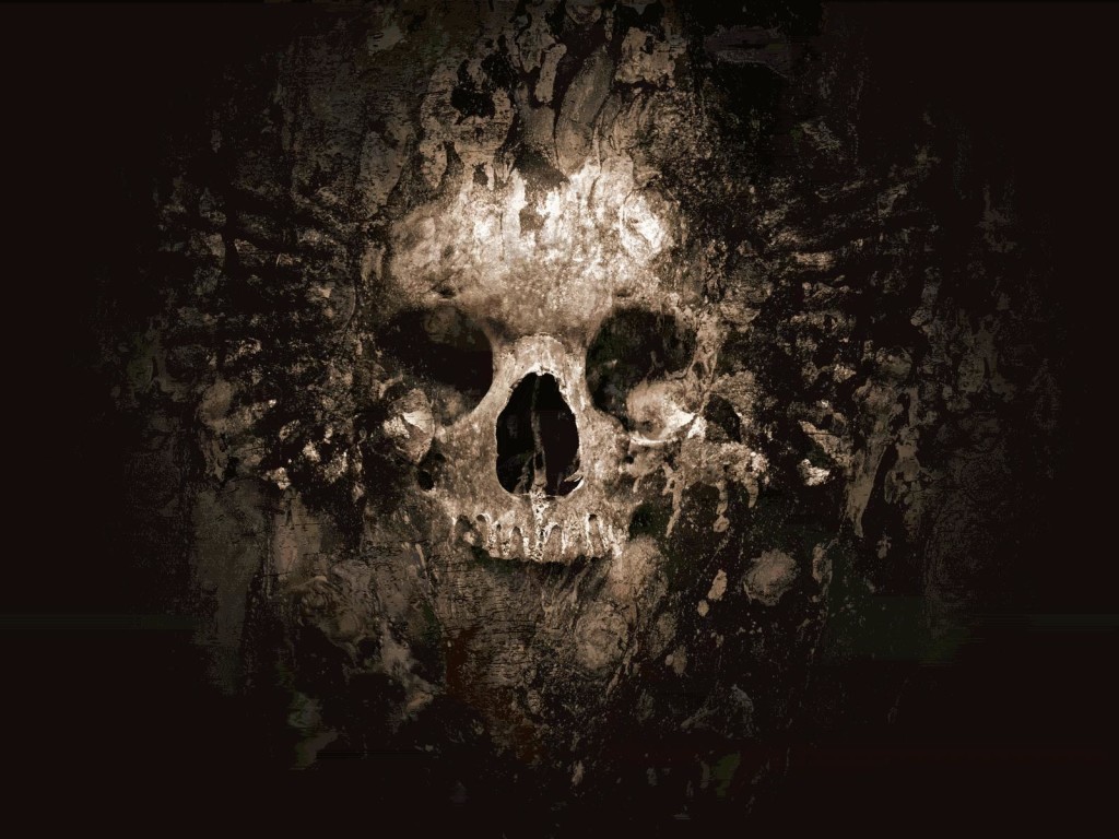 Old Skull Wallpaper