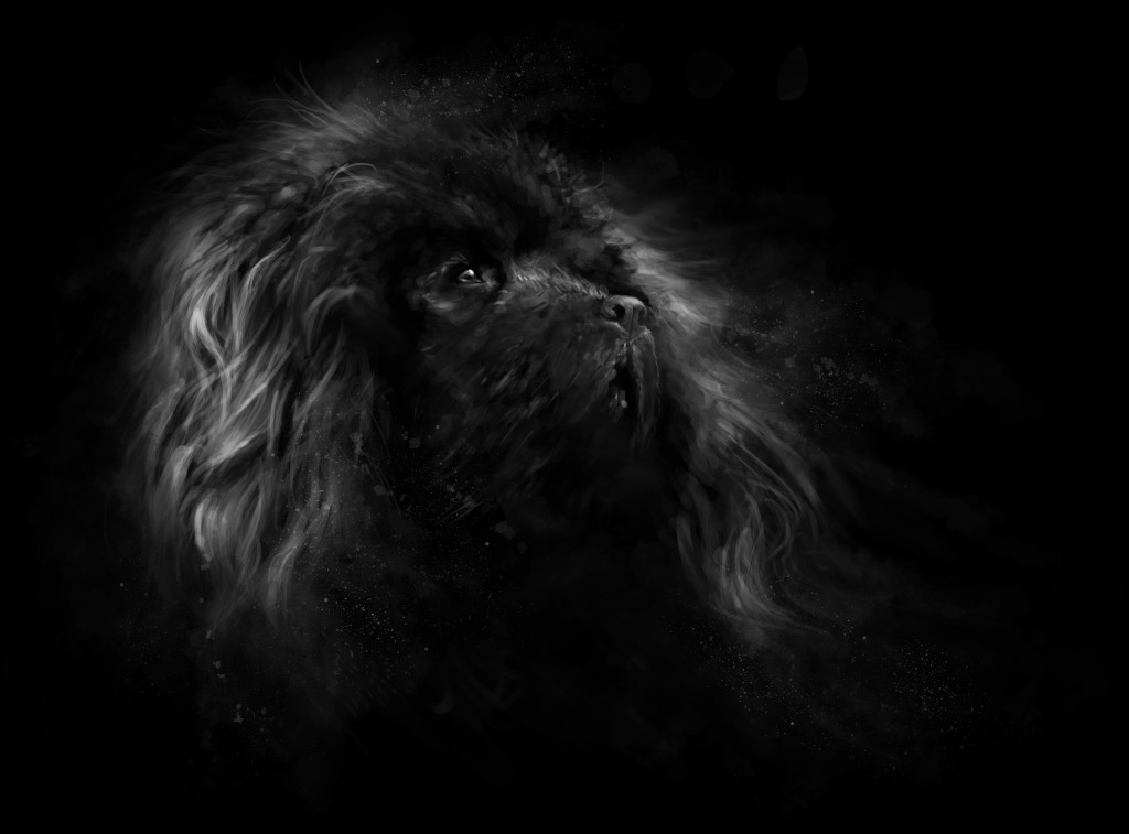 Tibetan Mastiff Wallpaper Desktop