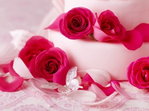 Beautiful Flower Wallpaper HD
