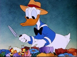 Donald Duck Wallpaper HD 08