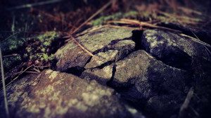 Stone Macro Photography Wallpaper HD