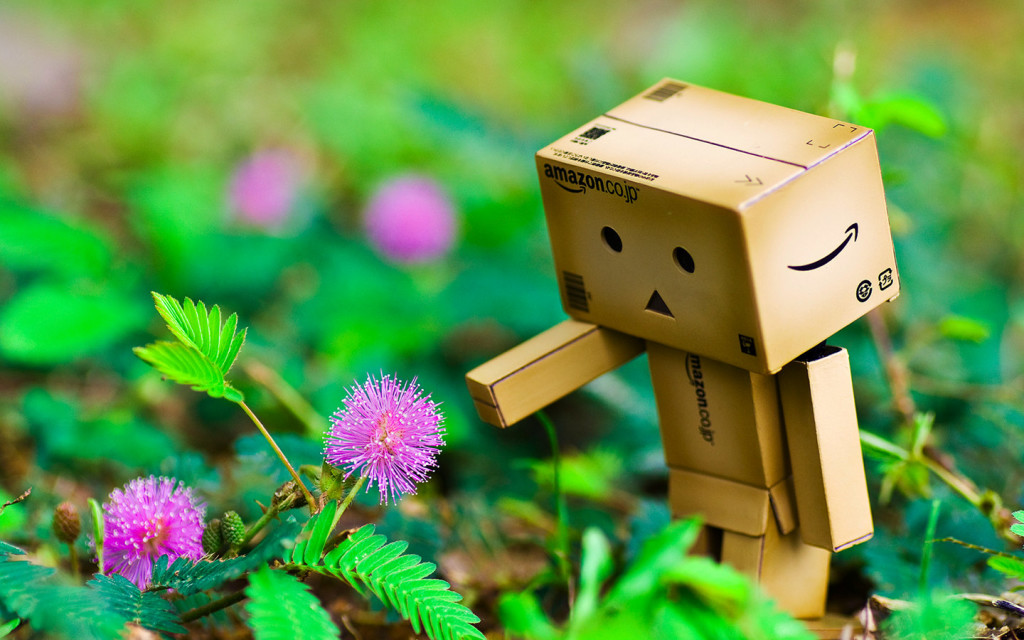 Danbo Flower In Garden Wallpaper