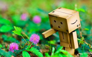 Danbo Flower In Garden Wallpaper