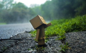 Funny Danbo in Edge of Road Wallpaper
