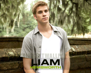 Liam Hemsworth 2013 HD Wallpapers