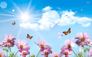 Spring Picture HD