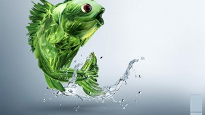 Creative Design 3D Fish Wallpaper