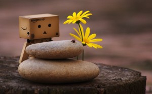 Danbo Photography Wallpaper