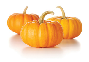 Pumpkin Pictures