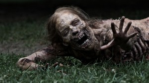 Zombie The Walking Dead Wallpaper