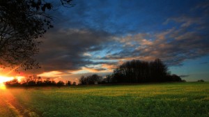 Afternoon View wallpaper HD