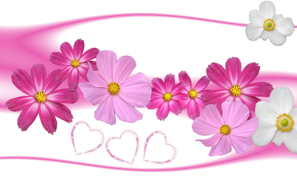 Cute Floral Pink Wallpaper