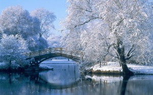 Bridge Winter Wallpaper Picture