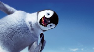 Cute Penguin Wallpaper HD