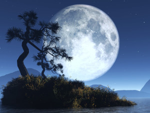 Moon Wallpaper