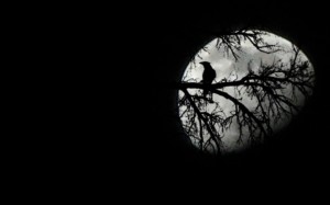 Mysterious Moon Wallpaper HD