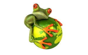 Frog Wallpaper HD Dekstop Windows