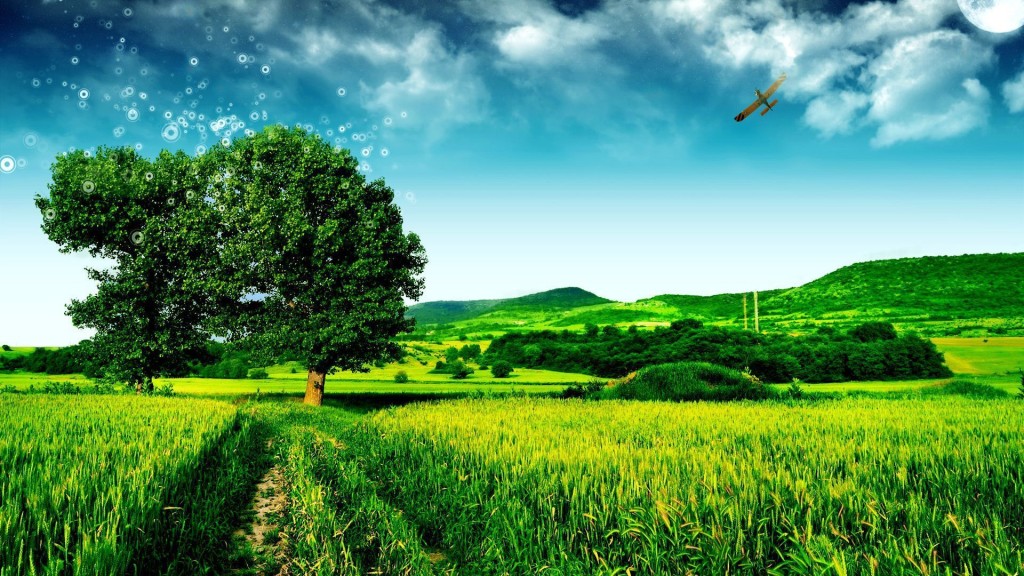 Green lanscape Wallpaper Windows