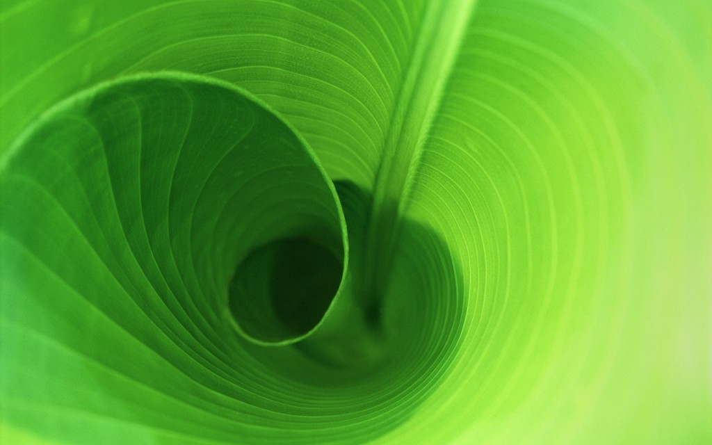 Banana Leaf Green Wallpaper