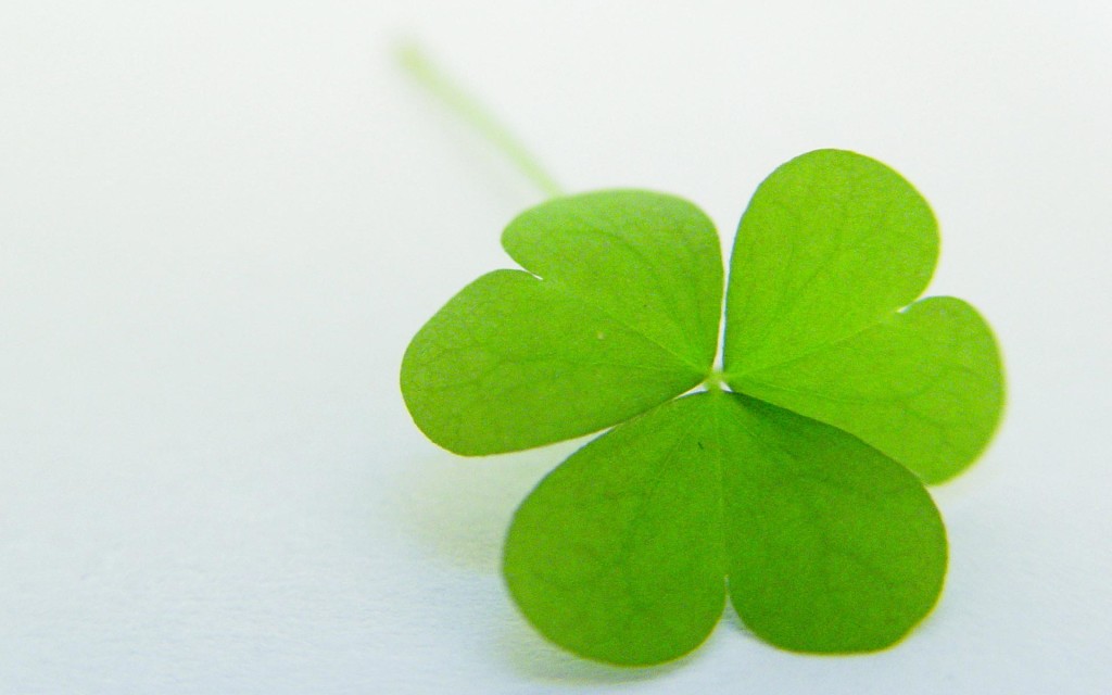 Nature Clover Leaf Wallpaper HD