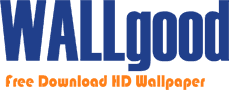 wallgood.com